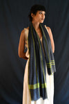 Pashmina Muffler - Slate Blue | Lime